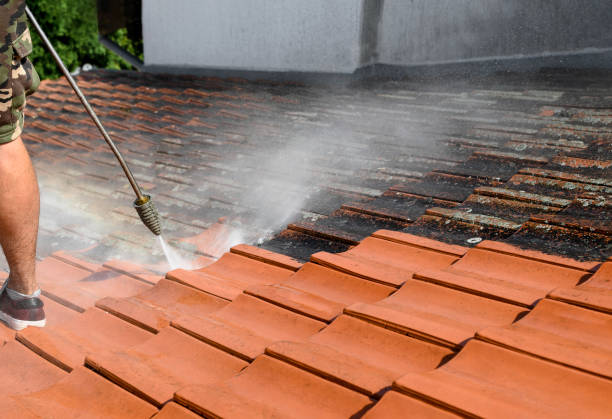 Best House Pressure Washing  in Fayette, AL