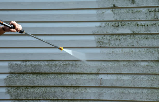 Why Choose Our Certified Pressure Washing Experts for Your Project Needs in Fayette, AL?
