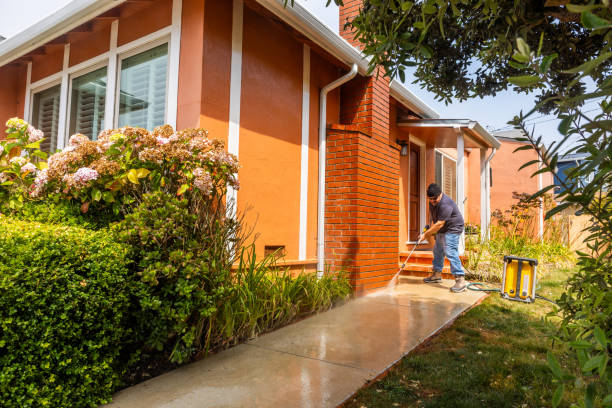 Best Pressure Washing Patio  in Fayette, AL